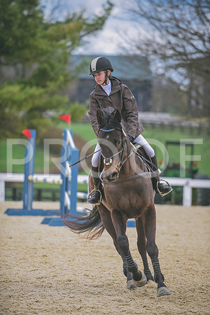 DSC_0383 copy