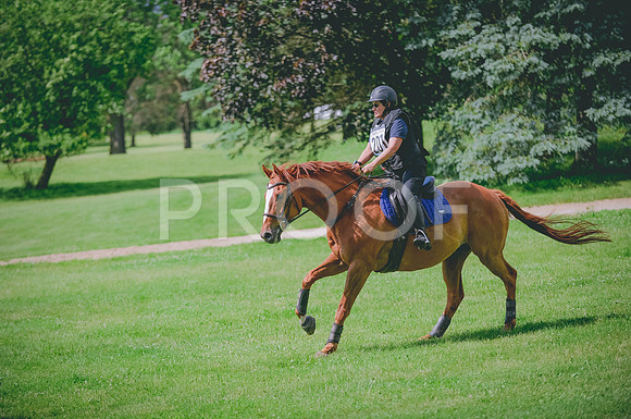 JJS_2498