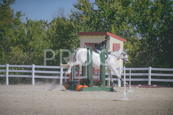 JJS_5220