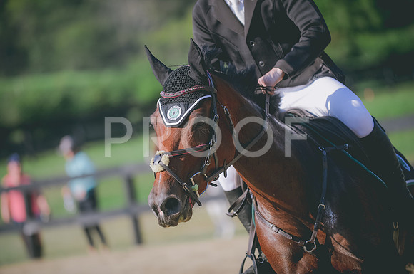JJS_7209