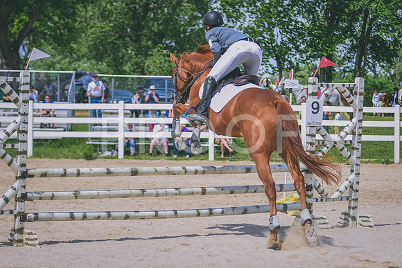 DSC_7281