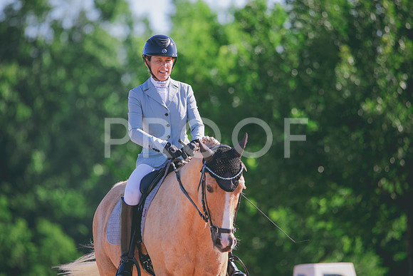 RWP_9384
