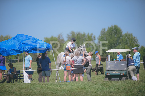 JJS_4079A