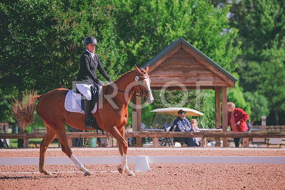 RWP_9534