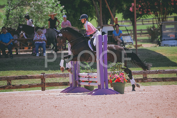 RWP_5623