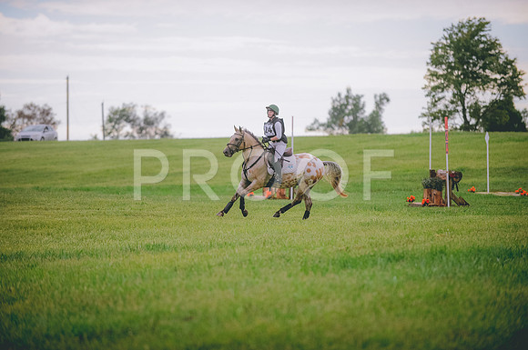 JJS_1629