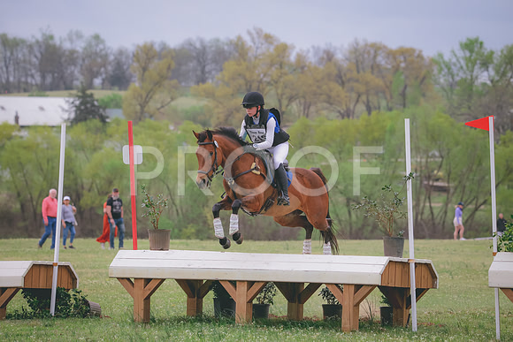 RWP_8667