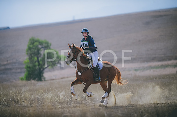 JJS_0268A