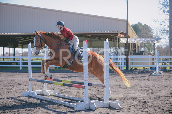 JJS_0646