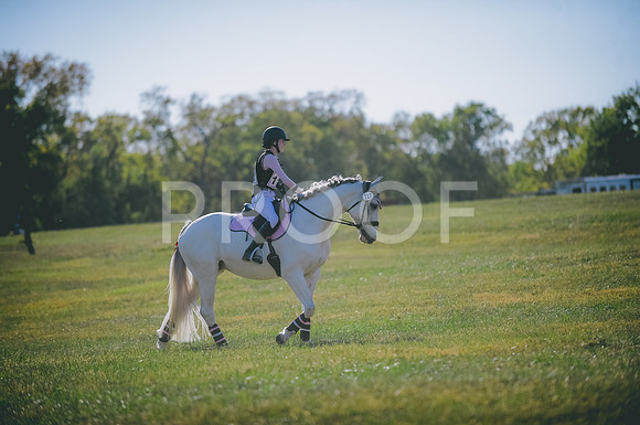 JJS_0313