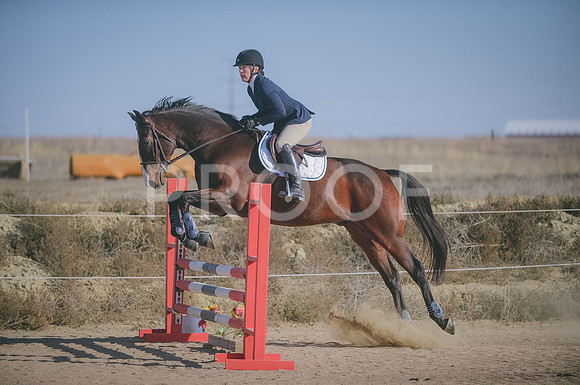 JJS_0646