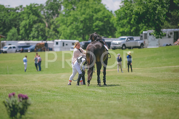 JJS_8147