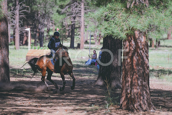 DSC_8875