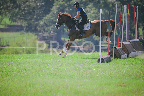 RWP_6344