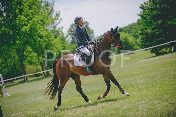 JJS_2201