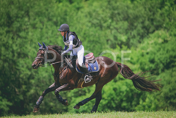 RWP_7590