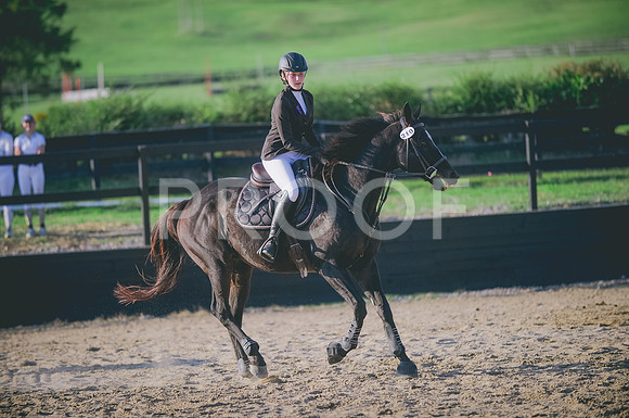 JJS_0391