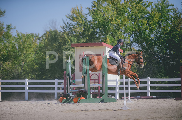 JJS_1405