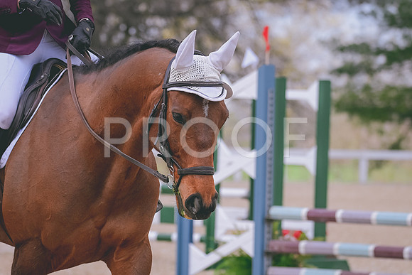 CRB_2625