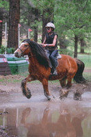 DSC_7337