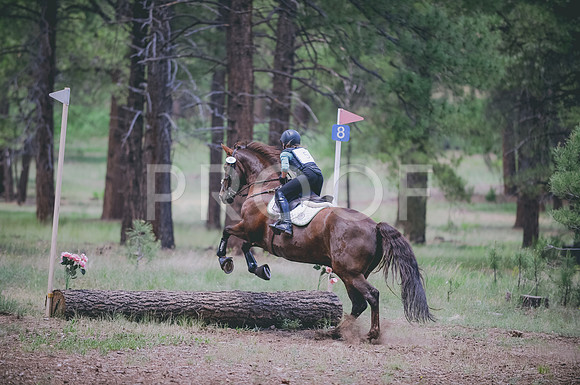 JJS_8158