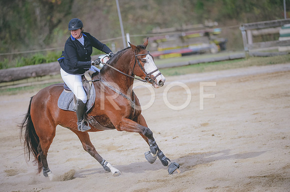 JJS_0858