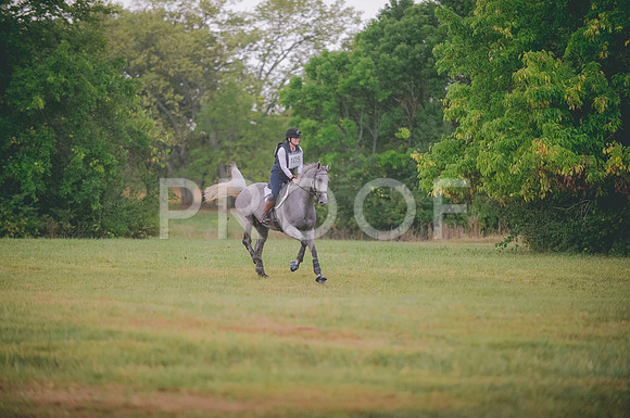 JJS_4516
