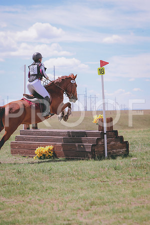 CDH_9031