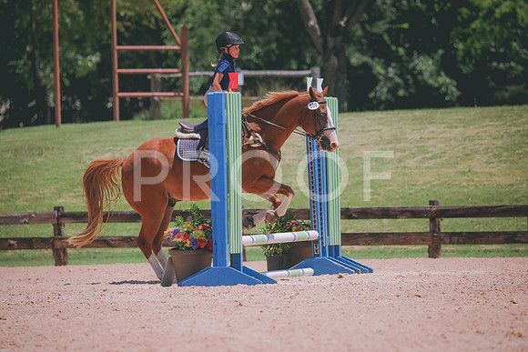 RWP_5905