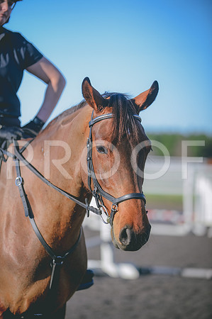 JJS_0668