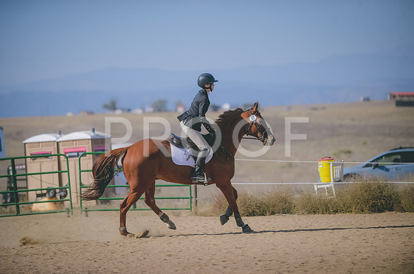 JJS_3298