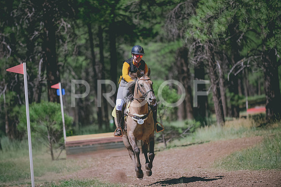 JJS_3034