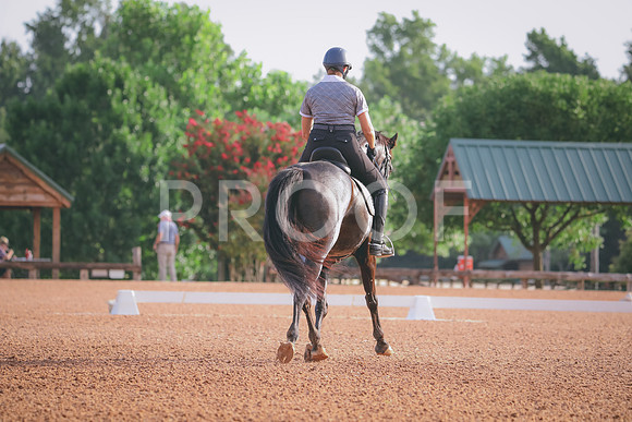 RWP_4259