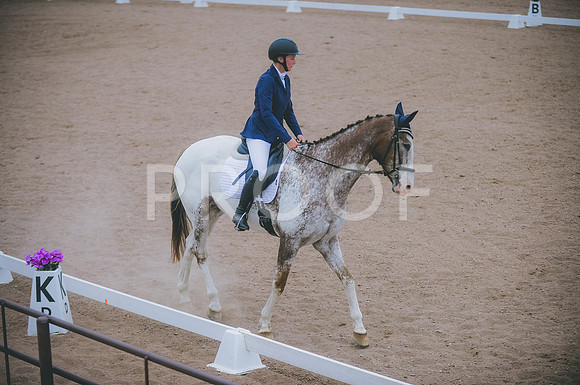 000_0655A