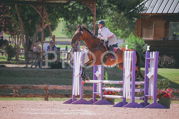 RWP_5031