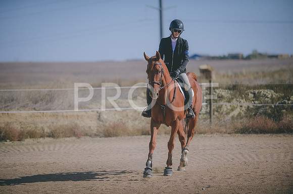 JJS_3242
