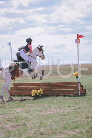 CDH_9313