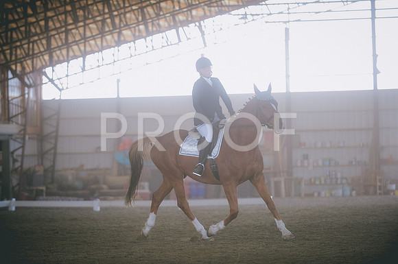 JJS_8593