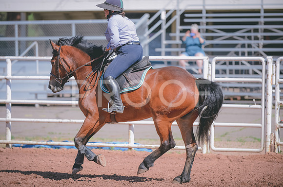 JJS_5201