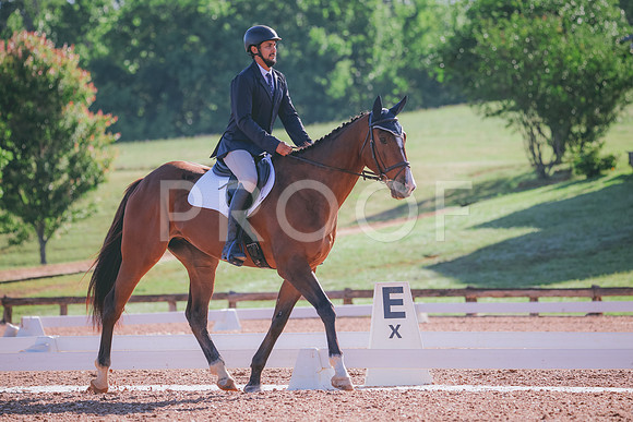 RWP_9337