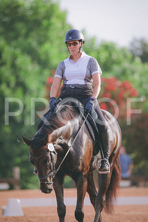 RWP_4241