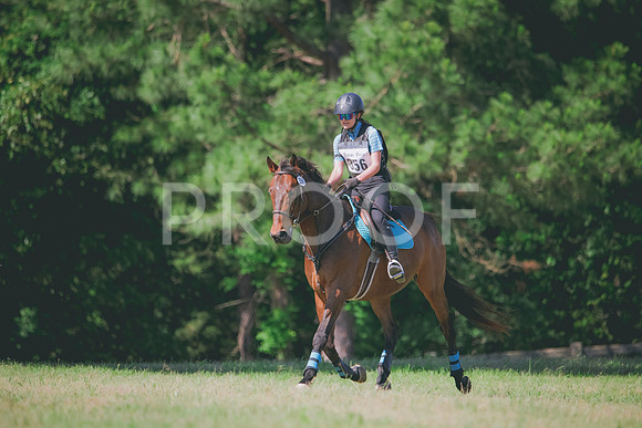 RWP_1319