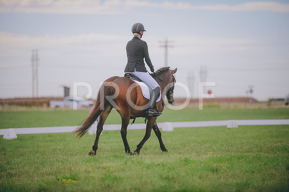 JJS_0245