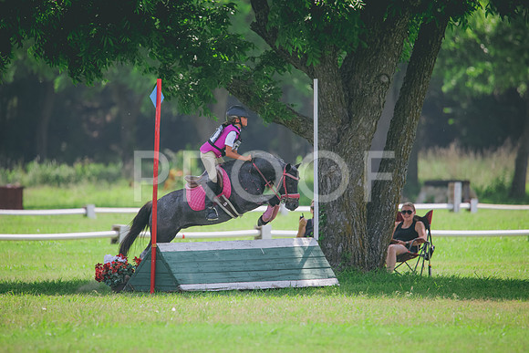 RWP_4339