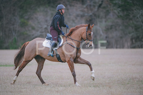 JJS_0182