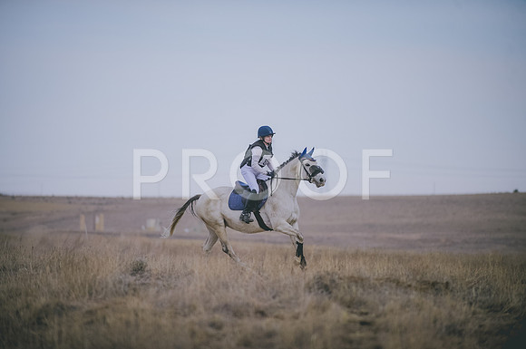 JJS_4417