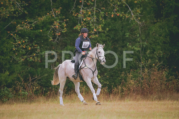 RWP_3603