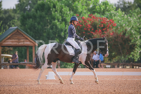 RWP_4198