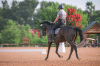 RWP_4166