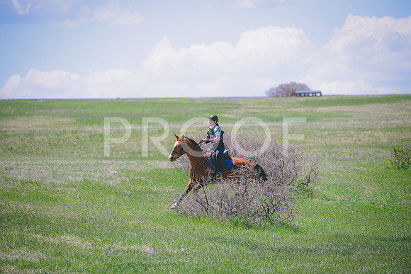 _DSC8390